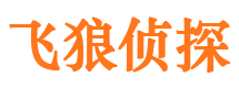 川汇出轨调查